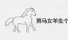 男马女羊生个虎宝宝好吗