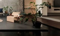 2023年1月5日小寒宜乔迁吗 今天搬家合适吗