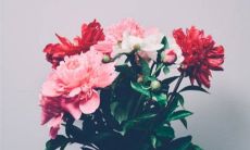 2022年12月2日是嫁娶吉日吗 农历十一月初九出嫁娶妻如何