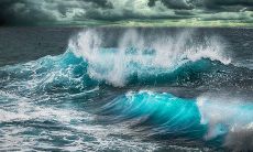 2022年8月属鼠女人事业运程预测