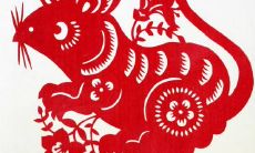 2022年下半年生肖鼠会有棘手的事情发生吗