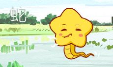 十二生肖不怕冷的动物 哪个不怕冷