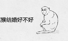 2022年属猴结婚好不好 虎年可以嫁娶吗