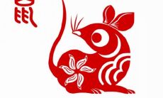 2023年鼠男的运势和财运会是怎样的