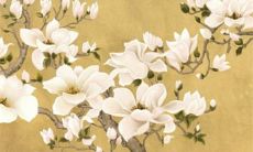 2022年8月中生肖属龙适合装修开工的好日子 黄道吉日一览表