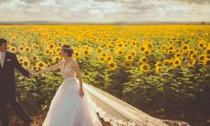 男虎女蛇真的不能在一起吗 婚姻不相配吗