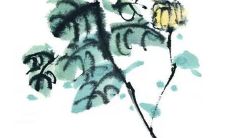 2023年正月十三出生的男宝宝命好不好 社交之王人脉众多