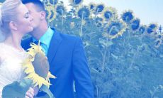 属牛和属马是谁克谁 婚姻相配对谁不利