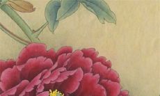 2023年正月十五剖腹产日子 上元节出生的孩子什么命