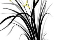 2023年正月十一出生的女宝宝命好吗 运势转好福运临身