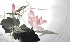 2023年正月十四出生的女孩命运如何 中年成就晚年大好