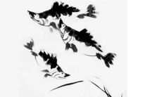 2023年正月十五出生的男宝宝命好吗 此兔宝宝财运滚滚