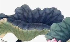 2023年正月十三出生好吗 正月十三出生的女孩子命运好不好