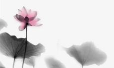 2023年正月十二出生的男宝宝八字命运查询 天生福星运势旺盛