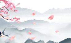 2023年正月十四出生的属兔男孩是什么命 正财偏财兼旺