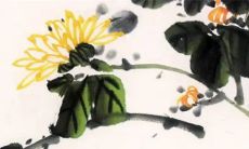 2023年正月十五出生的男兔 白天出生好还是夜里出生好