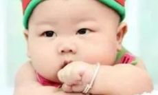 2023年属兔宝宝取名宜用字 洋气的2023兔宝宝名字