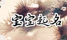 2023年1月8日出生的宝宝名字起名 适合腊月十七有创意名字