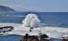12生肖属鼠最好出生月份 哪个月出生的属鼠的人命最好