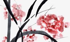 2023年生肖兔女一年运势 事业财富双丰收