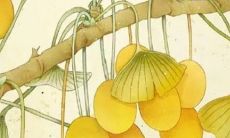 2023年哪些生肖运势好 财富事业双丰收