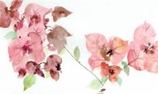 2023年1月2日今日属什么生肖特吉生肖查询