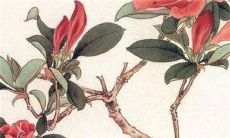 12生肖运:2023年1月5日小寒属什么 特吉生肖是哪几个