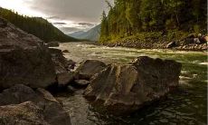 为何大家不想生鼠宝宝，会给家里的人带来什么影响