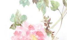 2023年运势很好的生肖 紫气东来一帆风顺