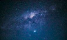 明年是什么年，2020年属什么生肖