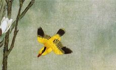 2023年1月1日元旦特吉生肖查询冲煞生肖情况