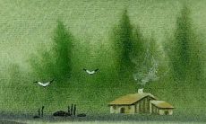 2023年属虎人的财运怎么样 运势平平找准方向