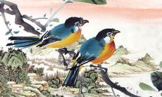 2022年1月15日开张日子吉利吗 当日老黄历查询