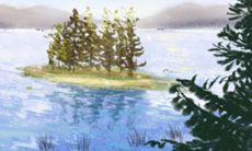 哪些生肖注定被黑惨了