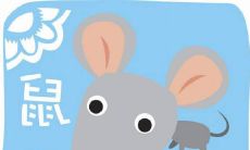 20年出生的生肖鼠在2023年的整体运势发展