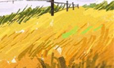 十二生肖的生财风水局