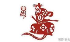 1996属鼠和2002属马人婚配怎么样 96年属鼠和02年属马相冲吗