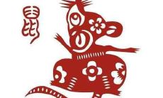 生肖为鼠的人的感情态度是怎样的?