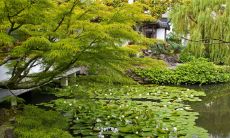 大水缸的摆放位置及相关忌讳