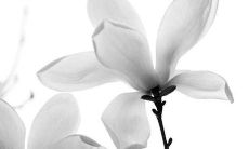 2022寅虎年夏季开张吉利日子 开张良机精选