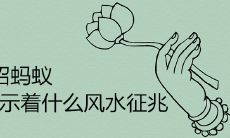 家里招蚂蚁预示着什么风水征兆