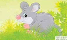 属鼠人2022年幸运颜色 2022属鼠最吉的颜色