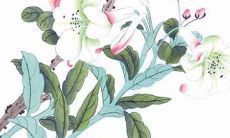 2022年春季开张黄道吉日查询 新店开张大吉日子