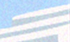 如何让12生肖女生动情