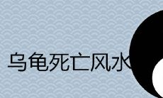 乌龟死了有什么预兆 怎么处理吉利