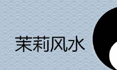 家里为什么不能种茉莉 何处摆放风水好