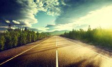 1984年属鼠一生婚姻状况