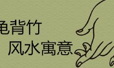 龟背竹有不好的风水寓意吗 摆放有哪些禁忌