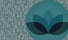 摆放玉露的风水禁忌需要注意哪些