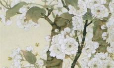 2022虎年7月中生肖属龙最适合订婚提亲的吉日 订婚佳期查询